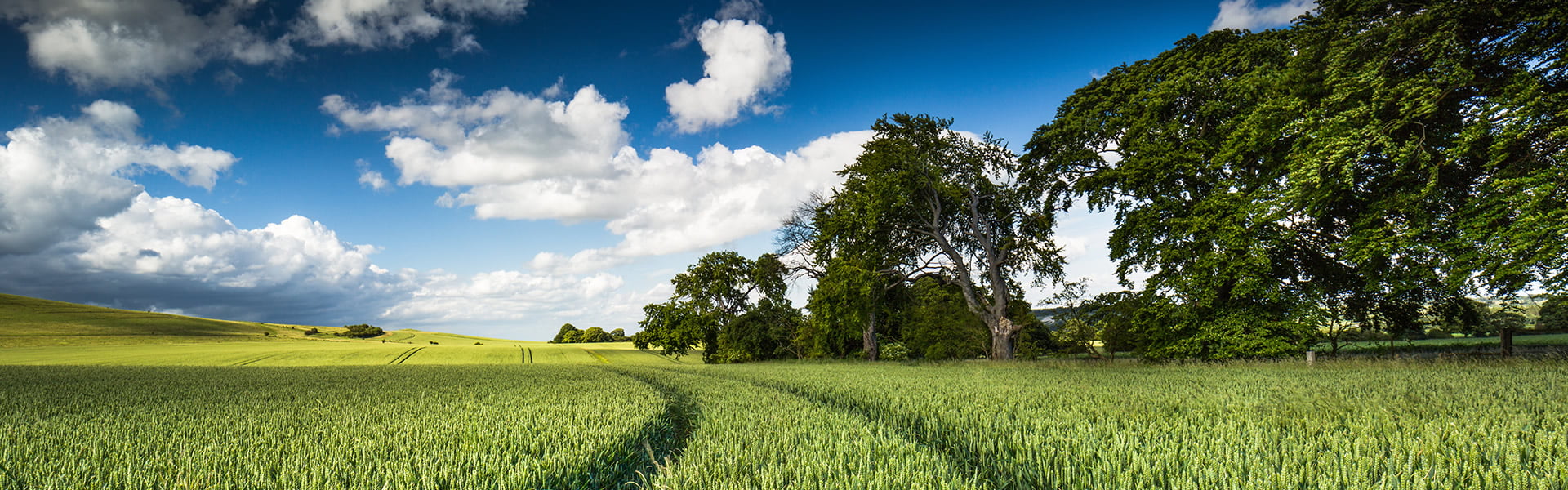 Property Sales & Purchases | Giles Wheeler-Bennett Chartered Surveyors