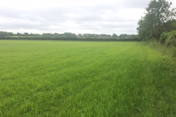 Approx 14.25 ac nr. Bishop’s Waltham
