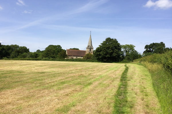 Church Field