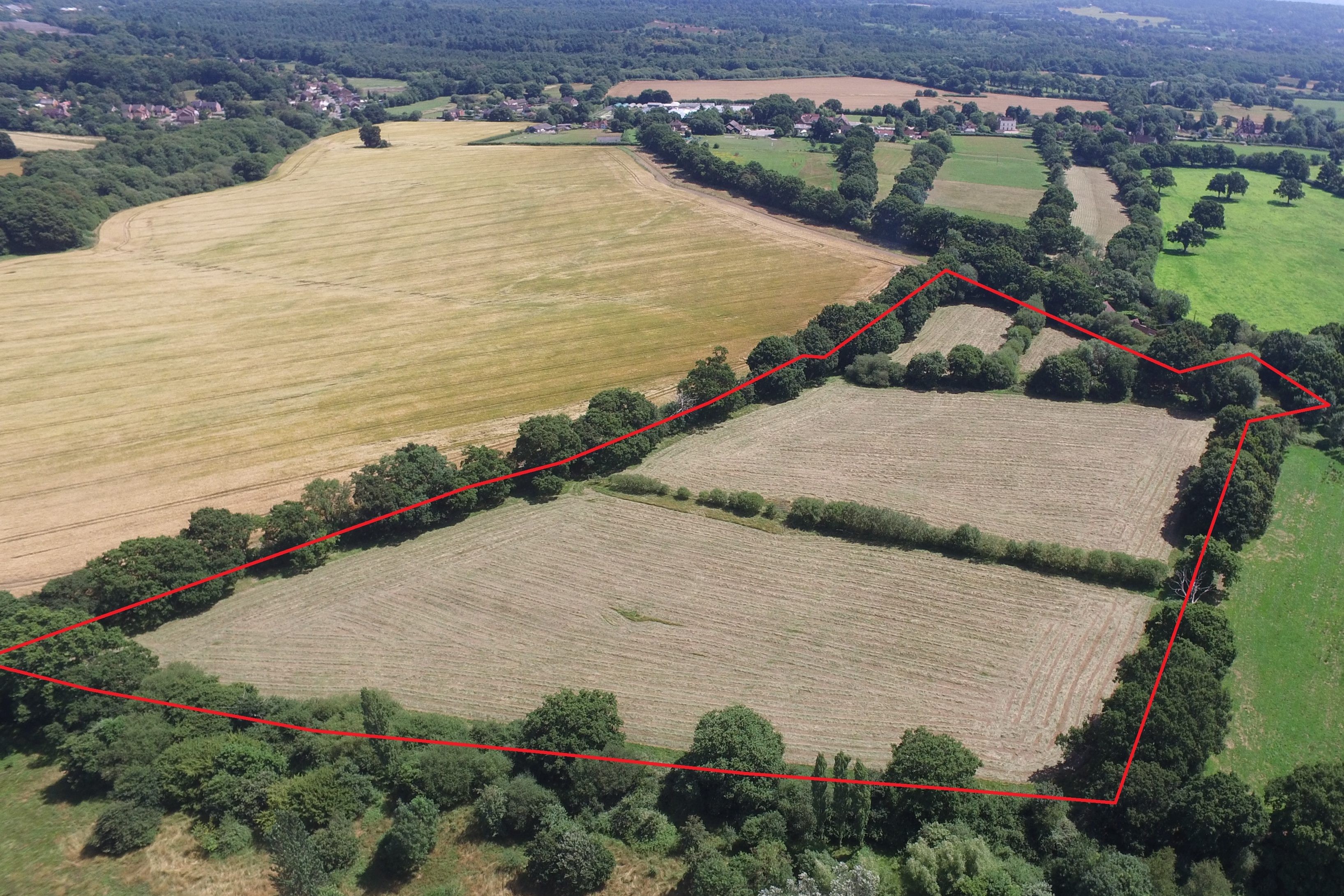Lone Barn Farm, Greatham