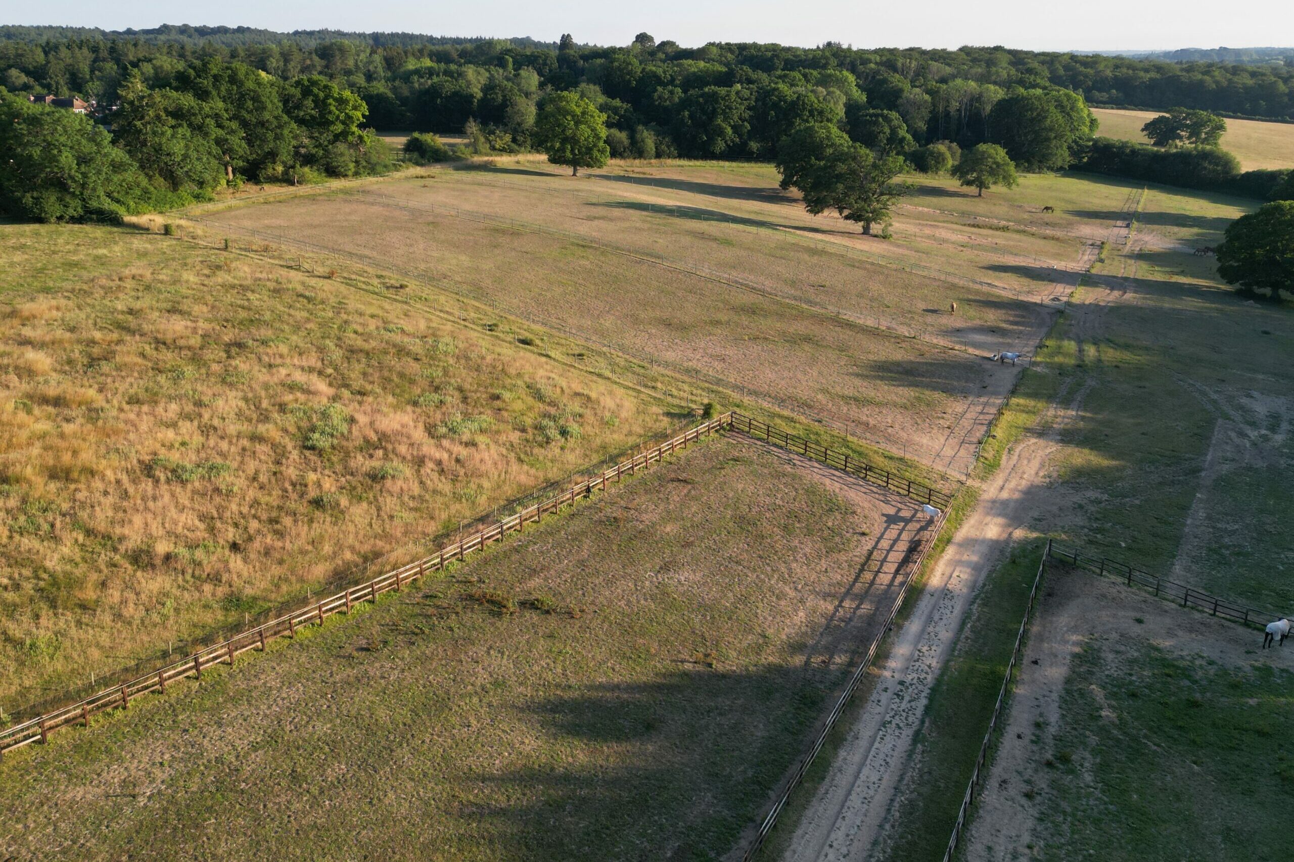 Pasture Land – Mill Lane