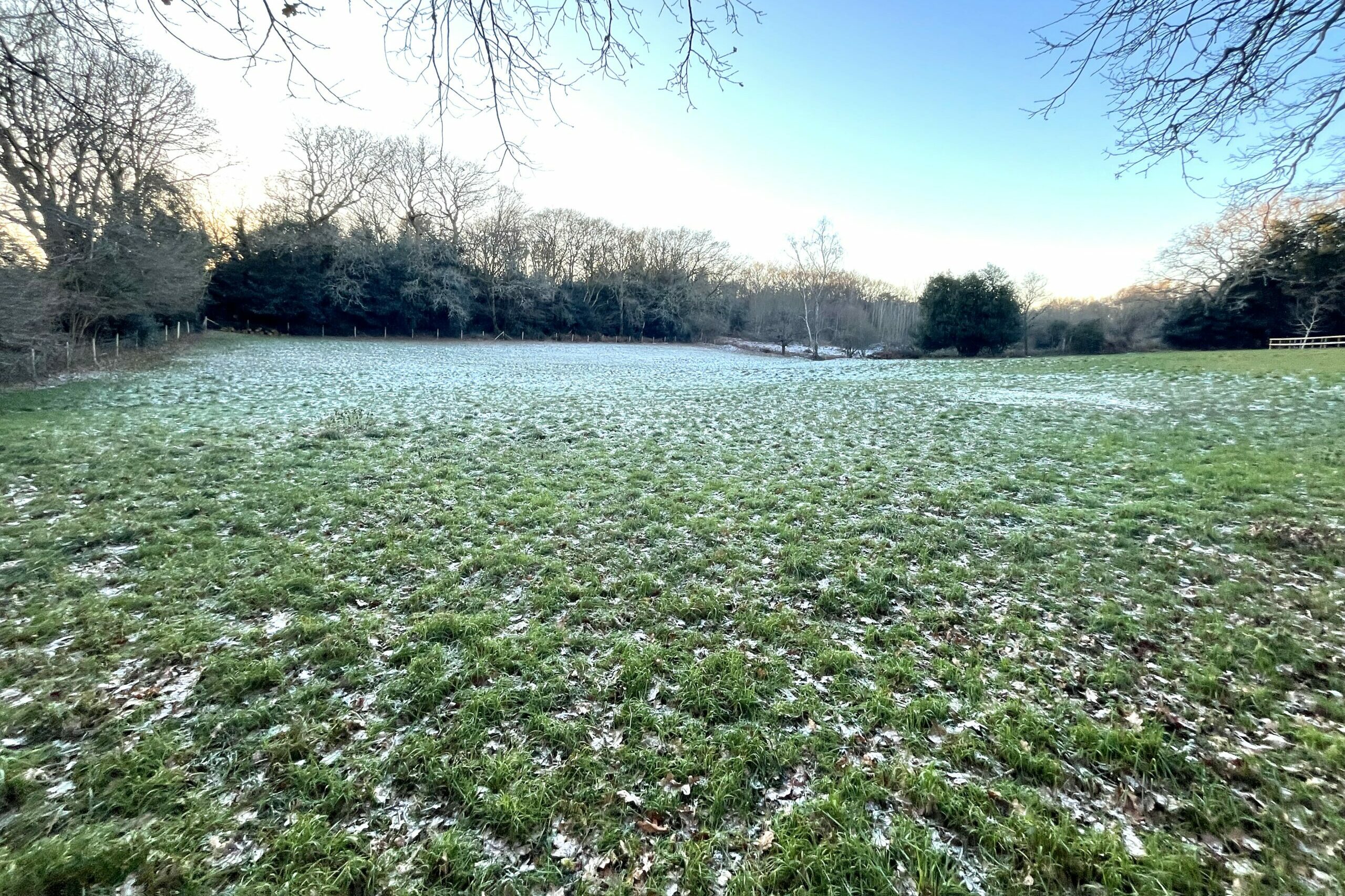 Land at Silver Fox Farm