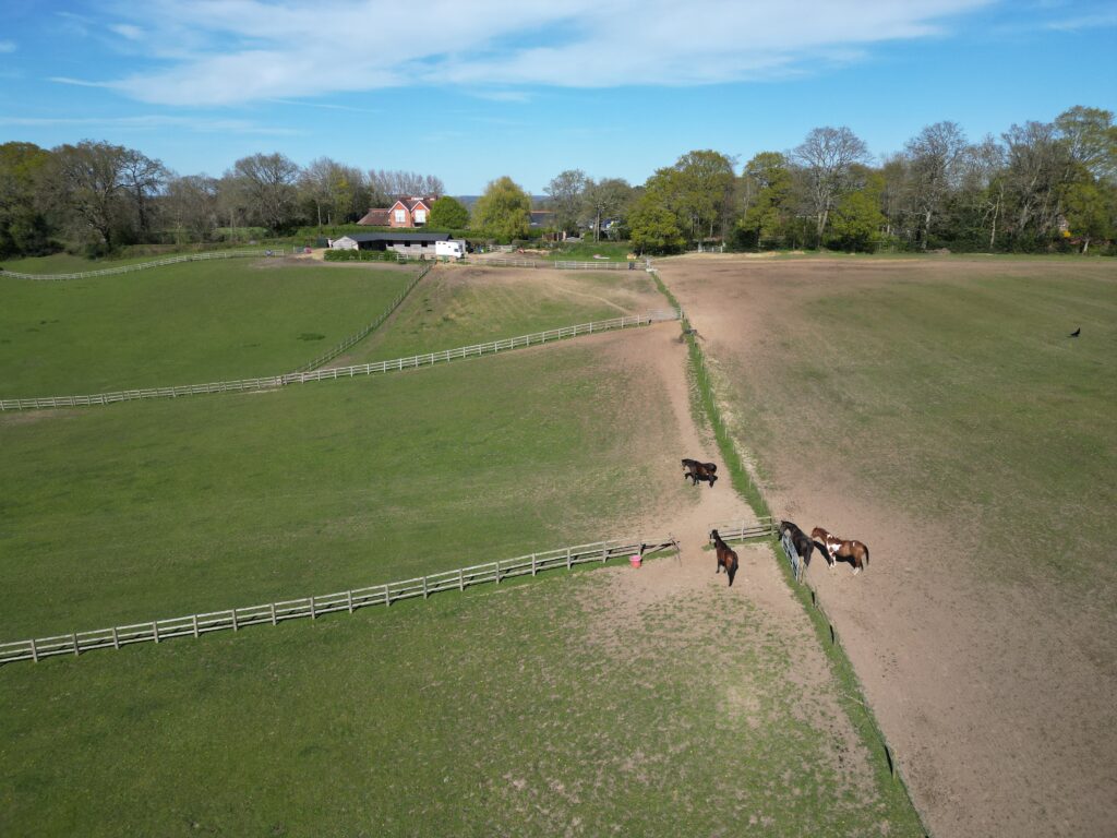 Calcot Paddocks - Giles Wheeler Bennett